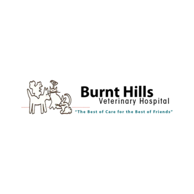 Burnt Hills Veterinary Hospital